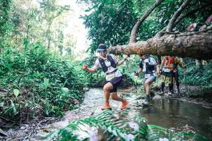 BIB: 
                            <button type="button" onclick="openModal(25442613)" class="btn btn-primary btn-sm float-right btn-popup" data-toggle="modal" data-target=".modal-high-quality">
                        <i class="fas fa-shopping-cart"></i> Add to Cart
                    </button>
                                            <button type="button" onclick="isThisMe(25442613, true)" class="btn btn-success btn-sm float-right btn-popup btn-isme hidden" data-toggle="tooltip" data-placement="bottom" title="นี่คือรูปของคุณใช่ไหม คลิกที่นี่เพื่อเอาเข้าอัลบั้ม">
                        <i class="fas fa-plus"></i> Add to album
                    </button>
                    <button type="button" onclick="isThisMe(25442613, false)" class="btn btn-warning btn-sm float-right btn-popup btn-isnotme hidden">
                        <i class="fas fa-ban"></i> Remove from album
                    </button>